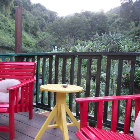 Rafjam Bed & Breakfast Kingston Luaran gambar