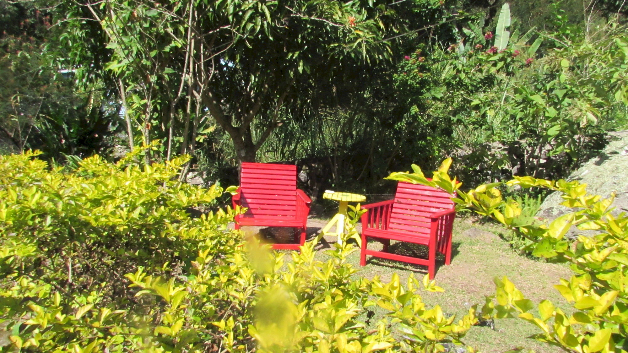 Rafjam Bed & Breakfast Kingston Luaran gambar